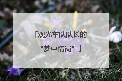 观光车队队长的“梦中情岗”
