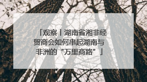 观察丨湖南省湘非经贸商会如何串起湖南与非洲的“万里商路”