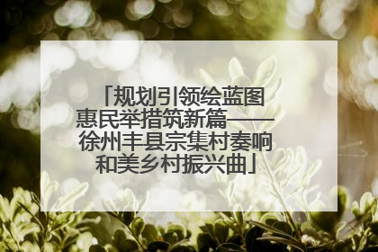 规划引领绘蓝图 惠民举措筑新篇——徐州丰县宗集村奏响和美乡村振兴曲