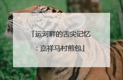 运河畔的舌尖记忆：嘉祥马村煎包