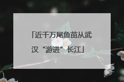 近千万尾鱼苗从武汉“游进”长江