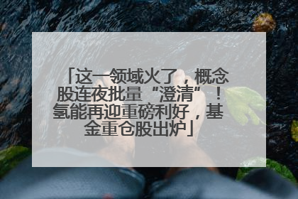 这一领域火了，概念股连夜批量“澄清”！氢能再迎重磅利好，基金重仓股出炉