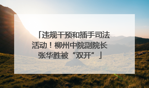违规干预和插手司法活动！柳州中院副院长张华胜被“双开”