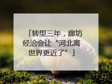 转型三年，廊坊经洽会让“河北离世界更近了”