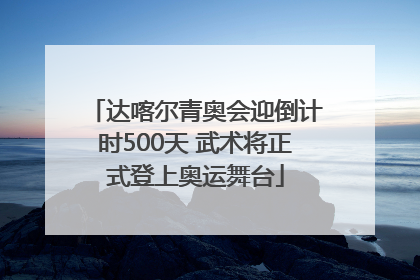 达喀尔青奥会迎倒计时500天 武术将正式登上奥运舞台
