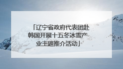 辽宁省政府代表团赴韩国开展十五冬冰雪产业主题推介活动