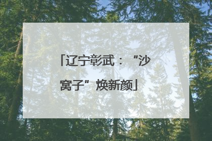 辽宁彰武：“沙窝子”焕新颜