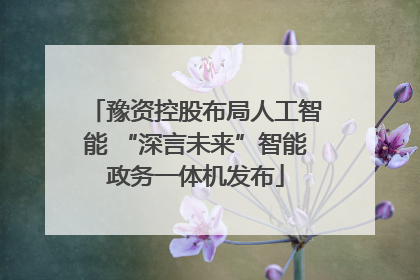 豫资控股布局人工智能 “深言未来”智能政务一体机发布