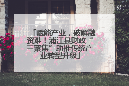 赋能产业，破解融资难！浦江县财政“三聚焦”助推传统产业转型升级