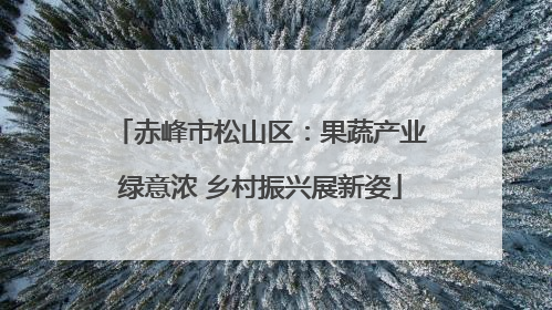 赤峰市松山区：果蔬产业绿意浓 乡村振兴展新姿