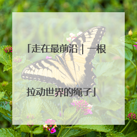 走在最前沿｜一根拉动世界的绳子