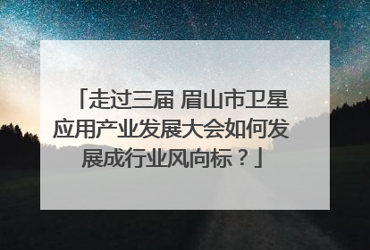 走过三届 眉山市卫星应用产业发展大会如何发展成行业风向标？
