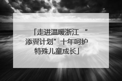 走进温暖浙江 “添翼计划”十年呵护特殊儿童成长