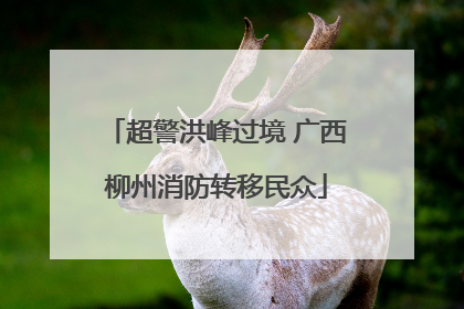 超警洪峰过境 广西柳州消防转移民众