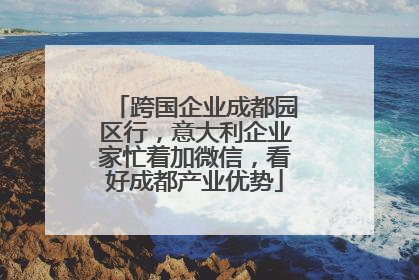 跨国企业成都园区行，意大利企业家忙着加微信，看好成都产业优势