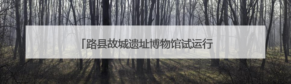 路县故城遗址博物馆试运行首日，观众冒雨热情参观