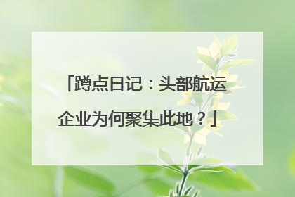 蹲点日记：头部航运企业为何聚集此地？