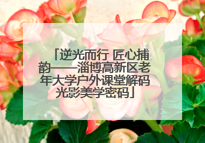 逆光而行 匠心捕韵——淄博高新区老年大学户外课堂解码光影美学密码