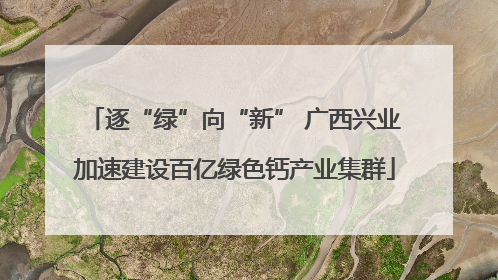 逐“绿”向“新” 广西兴业加速建设百亿绿色钙产业集群