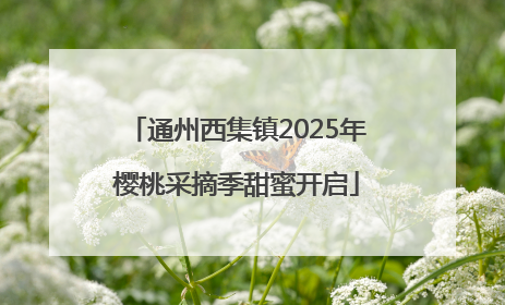 通州西集镇2025年樱桃采摘季甜蜜开启