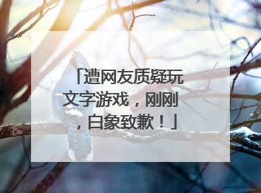遭网友质疑玩文字游戏，刚刚，白象致歉！