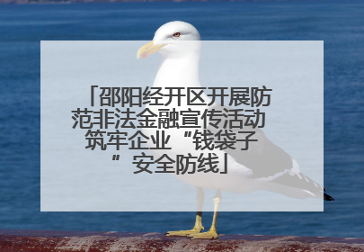 邵阳经开区开展防范非法金融宣传活动 筑牢企业“钱袋子”安全防线