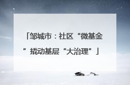 邹城市：社区“微基金”撬动基层“大治理”