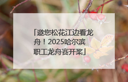 邀您松花江边看龙舟！2025哈尔滨职工龙舟赛开桨
