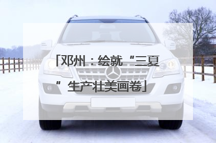 邓州：绘就“三夏”生产壮美画卷