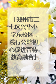 郑州市二七区兴华小学东校区：践行公益初心促进普特教育融合