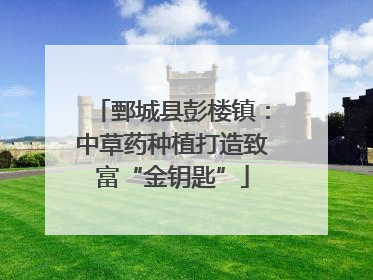 鄄城县彭楼镇：中草药种植打造致富“金钥匙”
