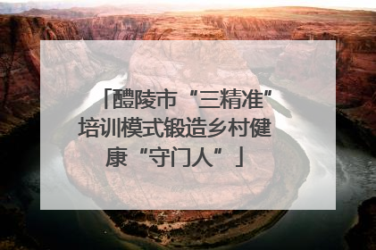 醴陵市“三精准”培训模式锻造乡村健康“守门人”