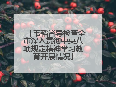 韦韬督导检查全市深入贯彻中央八项规定精神学习教育开展情况