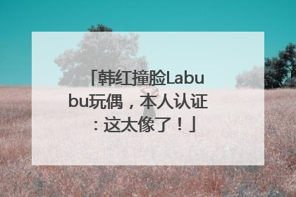 韩红撞脸Labubu玩偶，本人认证：这太像了！