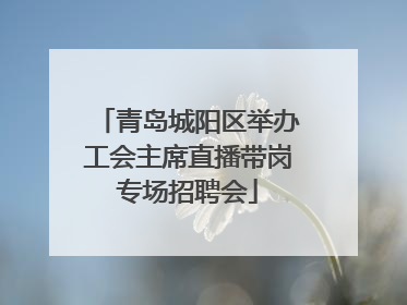 青岛城阳区举办工会主席直播带岗专场招聘会