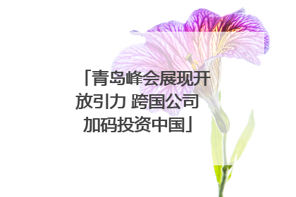 青岛峰会展现开放引力 跨国公司加码投资中国