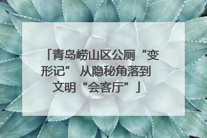 青岛崂山区公厕“变形记” 从隐秘角落到文明“会客厅”