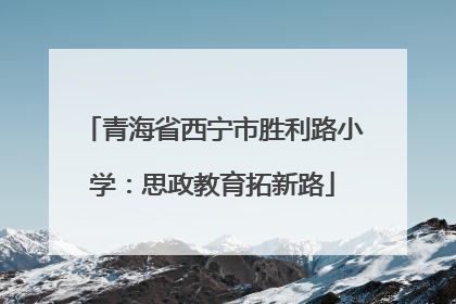 青海省西宁市胜利路小学：思政教育拓新路