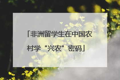 非洲留学生在中国农村学“兴农”密码