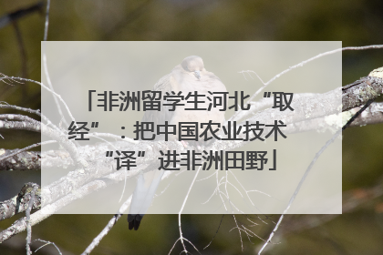 非洲留学生河北“取经”：把中国农业技术“译”进非洲田野