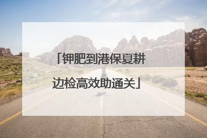 钾肥到港保夏耕 边检高效助通关