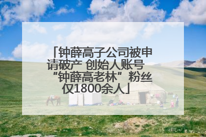 钟薛高子公司被申请破产 创始人账号“钟薛高老林”粉丝仅1800余人