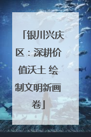 银川兴庆区：深耕价值沃土 绘制文明新画卷