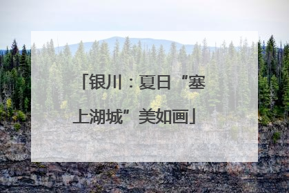 银川：夏日“塞上湖城”美如画
