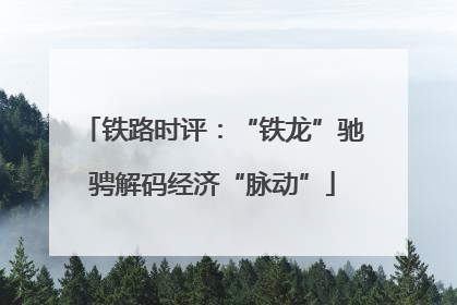 铁路时评：“铁龙”驰骋解码经济“脉动”