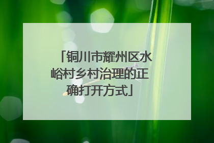 铜川市耀州区水峪村乡村治理的正确打开方式