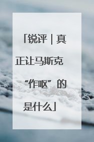 锐评｜真正让马斯克“作呕”的是什么
