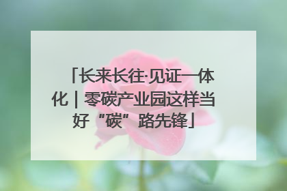长来长往·见证一体化｜零碳产业园这样当好“碳”路先锋