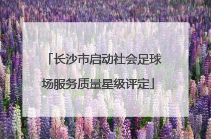 长沙市启动社会足球场服务质量星级评定