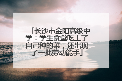 长沙市金阳高级中学：学生食堂吃上了自己种的菜，还出现了一批劳动能手
